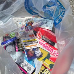 清掃活動：魚が浮いてもタモに入るまで　DA…