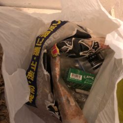 清掃活動：フカセでキビレ