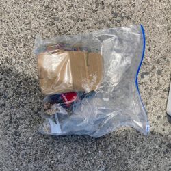 清掃活動：良型カマス