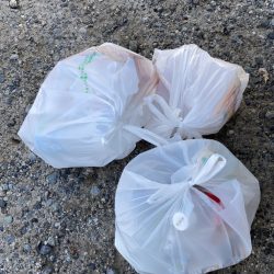 清掃活動：ゴールデンウィーク後半、2回目の…