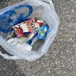 清掃活動：ウェアをどれにするか？迷うシーズ…