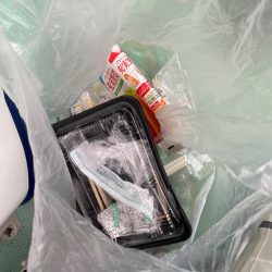 清掃活動：タイラバで真鯛