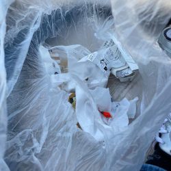 清掃活動：筏で根魚