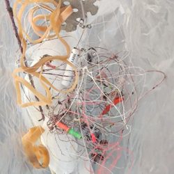 清掃活動：熱海港にてキンギョ釣り