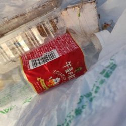 清掃活動：千本浜から沼津港で五目釣り