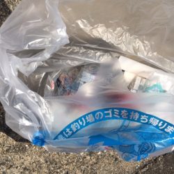 清掃活動：初めてのタコ釣りはほろ苦いデビュ…