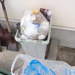 清掃活動：弓ヶ浜で気持ち良くキス釣りしてき…