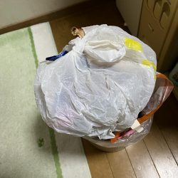 清掃活動：豆アジチョロチョロ