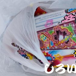 清掃活動：狙いのチヌは不発。