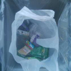 清掃活動：ハゼ釣り楽しいデス(^^)