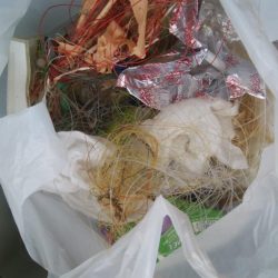 清掃活動：ハゼ釣り日和(@^▽^@)