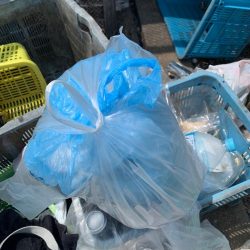 清掃活動：青物のつもりがやっぱり…