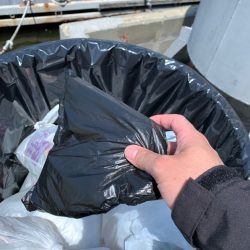 清掃活動：武庫川一文字リベンジ