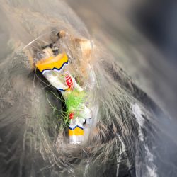 清掃活動：ジギング空振り→癒しのガッシー