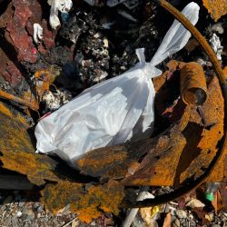 清掃活動：《春イカ釣り》