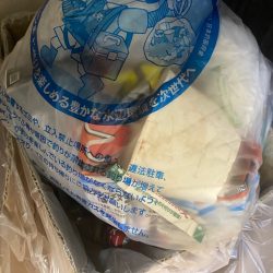 清掃活動：連日の高潮位を狙って