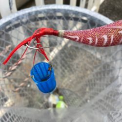 清掃活動：⭐︎なにわ蛸