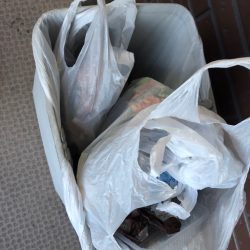 清掃活動：大阪で青物釣れてるが和歌山遠征