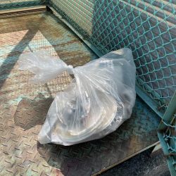 清掃活動：朝練釣行