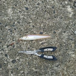 4ヶ月ぶりの釣行(2日目)