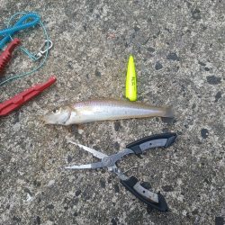 4ヶ月ぶりの釣行(2日目)