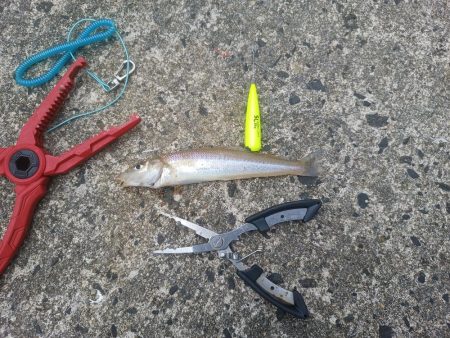 4ヶ月ぶりの釣行(2日目)