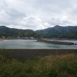 4ヶ月ぶりの釣行(2日目)