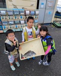 和歌山マリーナシティ釣り公園 釣果