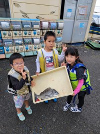 和歌山マリーナシティ釣り公園 釣果
