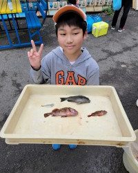 和歌山マリーナシティ釣り公園 釣果