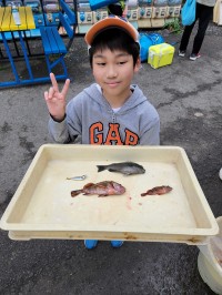 和歌山マリーナシティ釣り公園 釣果