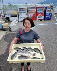 和歌山マリーナシティ釣り公園 釣果