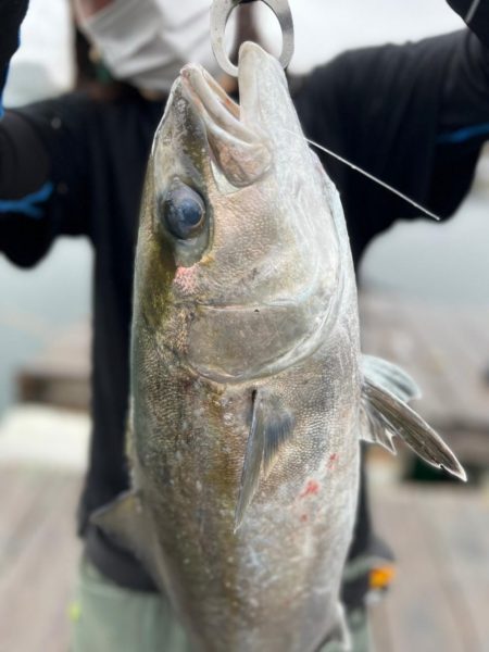 水宝　海上釣堀