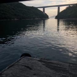 たかたかの釣り日記