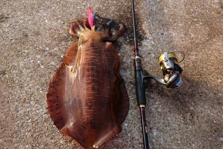 対馬からの投稿！