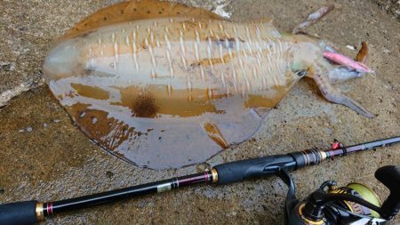 対馬釣果投稿③