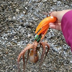 今年は当たり年？？