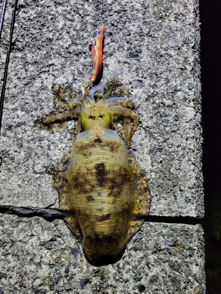 日が沈んでから