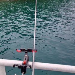 今年の初カワハギ狙い