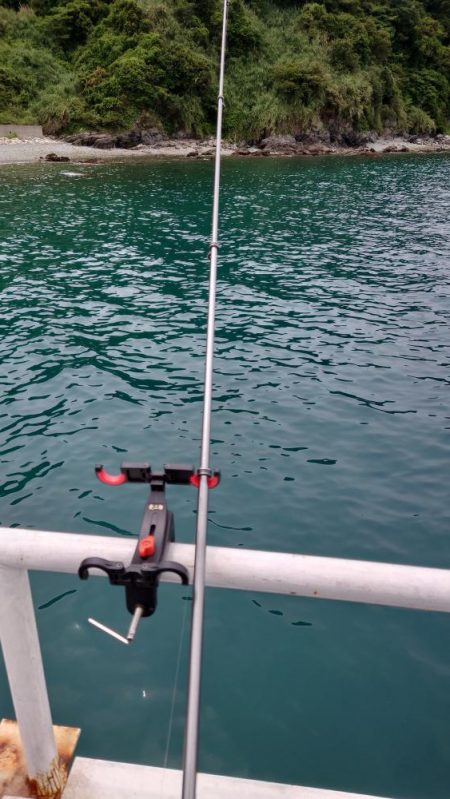 今年の初カワハギ狙い