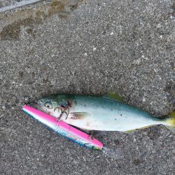 プチsalt water game