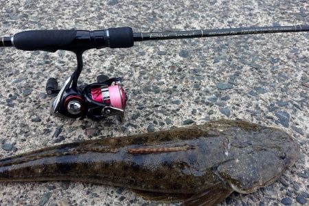 いつもと違う魚