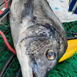 海釣り公園フカセ釣り