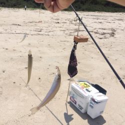 唐津のキス狙いでサーフへ行って来ました