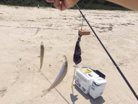 唐津のキス狙いでサーフへ行って来ました