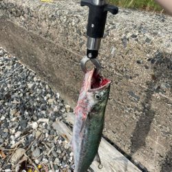 ショアジギング