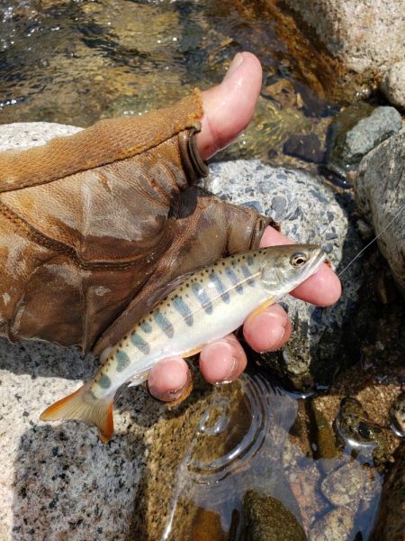 渇水と昼からはさっぱりでした