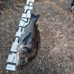 投稿するか迷いました