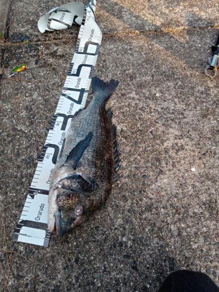 投稿するか迷いました