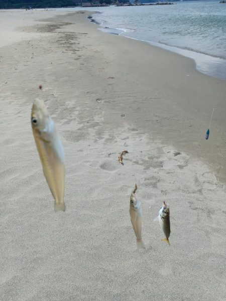 サーフはまずまず